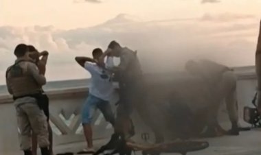 Jovem leva tapa no rosto durante abordagem policial na orla turística de Salvador; vídeo mostra ação