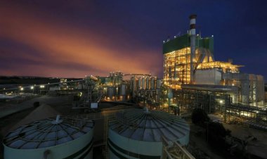 Bracell abre inscrições para Programa Trainee 2024; confira