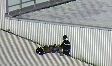 Homem sobe no teto de estação de metrô em Salvador e joga placas de metal na pista
