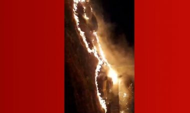 Incêndio atinge área de parque que abriga casarão onde morou o poeta Castro Alves