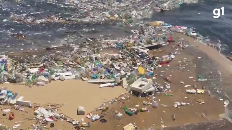 Embalagens, sacos plásticos e isopor: praia de Salvador é tomada por grande quantidade de lixo