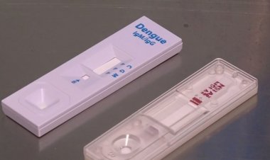 Veja como fazer exames gratuitos para identificação da dengue em Salvador