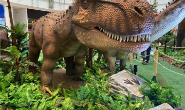 Exposição gratuita de dinossauros ganha nova temporada em Salvador