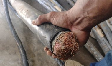 Aproximadamente 11 toneladas de fios e cabos de telefonia roubados são apreendidos em Salvador