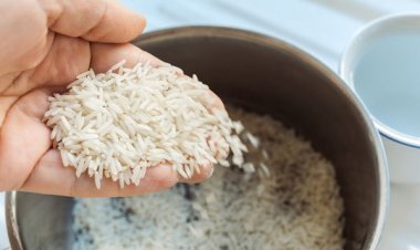 Arroz: governo, indústria e produtor fazem acordo para monitorar preço