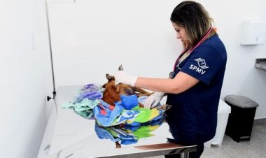 Hospital Veterinário registra mais de 50 mil serviços realizados em Salvador