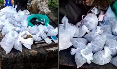 PM prende oito pessoas com drogas em praia de Salvador Uma grande quantidade de drogas também foi apreendida