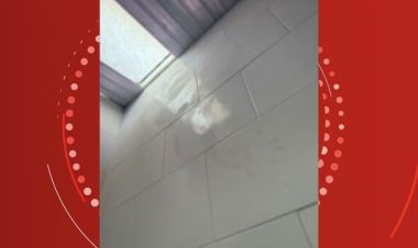 ONG suspende atendimento para 300 famílias de crianças com microcefalia após furto de equipamentos em Salvador