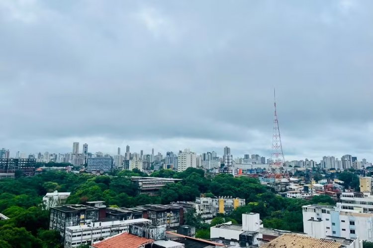 Salvador vai ficar sem ônibus? Sindicato dos Rodoviários explica