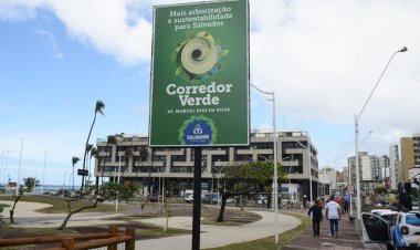 Prefeitura de Salvador lança programa Corredor Verde com plantio de árvores na Pituba